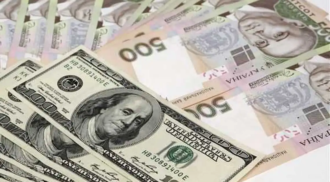 Нацбанк: українці масово скуповувають валюту фото 1