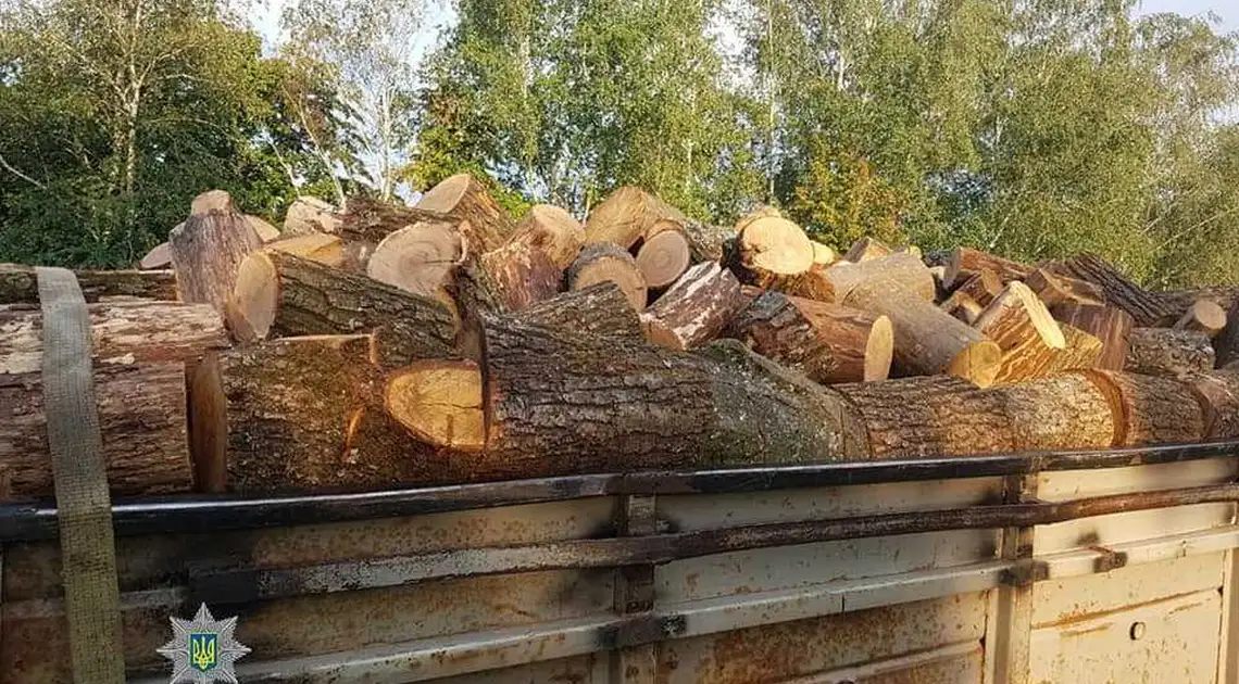 У Кропивницькому виявили вантажівку  із  деревиною без документів (ФОТО) фото 1