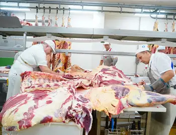 Як на «Ятрані» у Кропивницькому виготовляють ковбасну продукцію (ФОТОРЕПОРТАЖ) фото 1