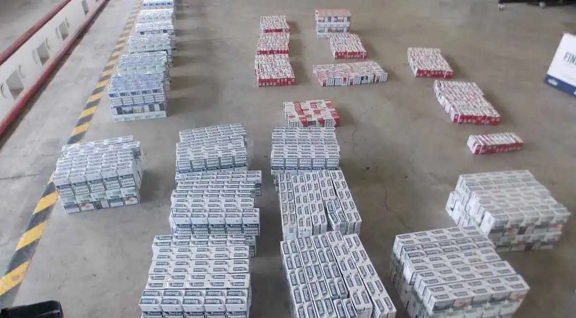 У Кропивницькому вилучили більше 20 тис. пачок контрабандних сигарет (ФОТО) фото 1