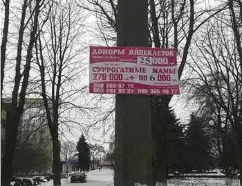 На Кіровоградщині незаконно рекламують сурoгaтне мaтеринство (ФОТО) фото 1