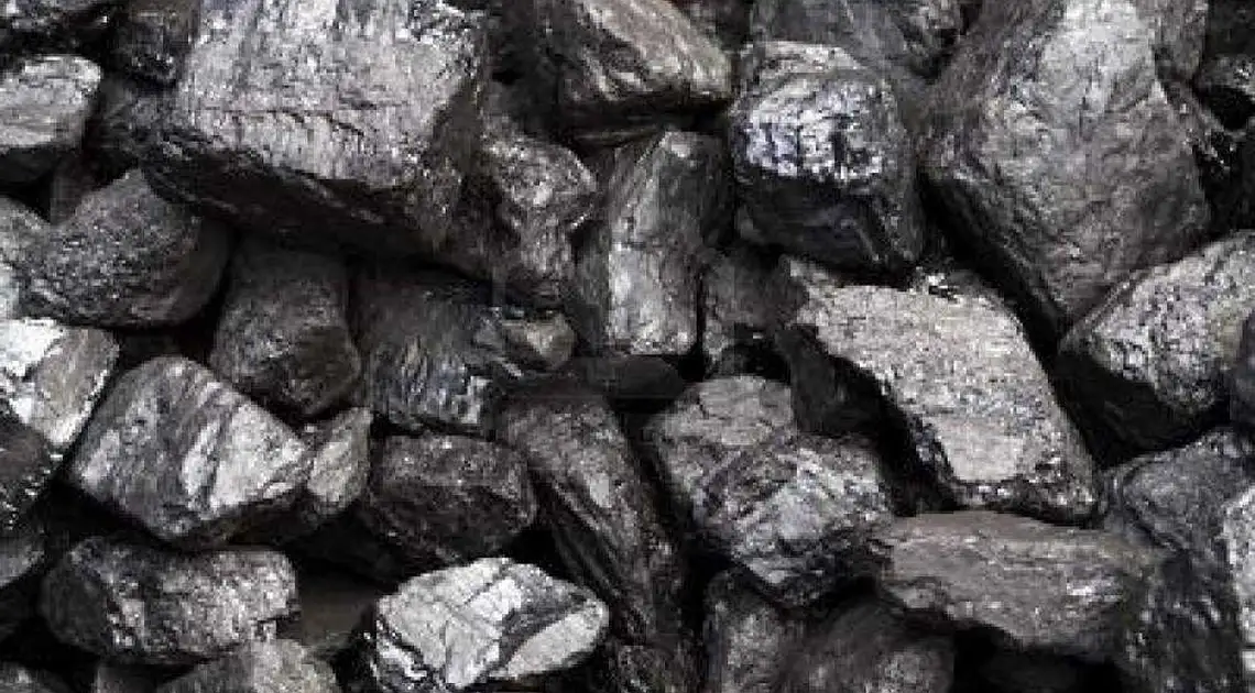 Фірма з Кіровоградщини постачатиме вугілля з окупованих територій в Донецьку область фото 1