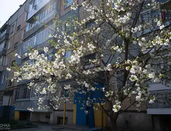 Чиста, тиха та незвична: "карантинна" весна в Кропивницькому (ФОТОРЕПОРТАЖ) фото 1