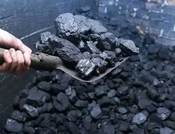 На Кіpовогpадщині закладам освіти поставляли неякісне вугілля фото 1