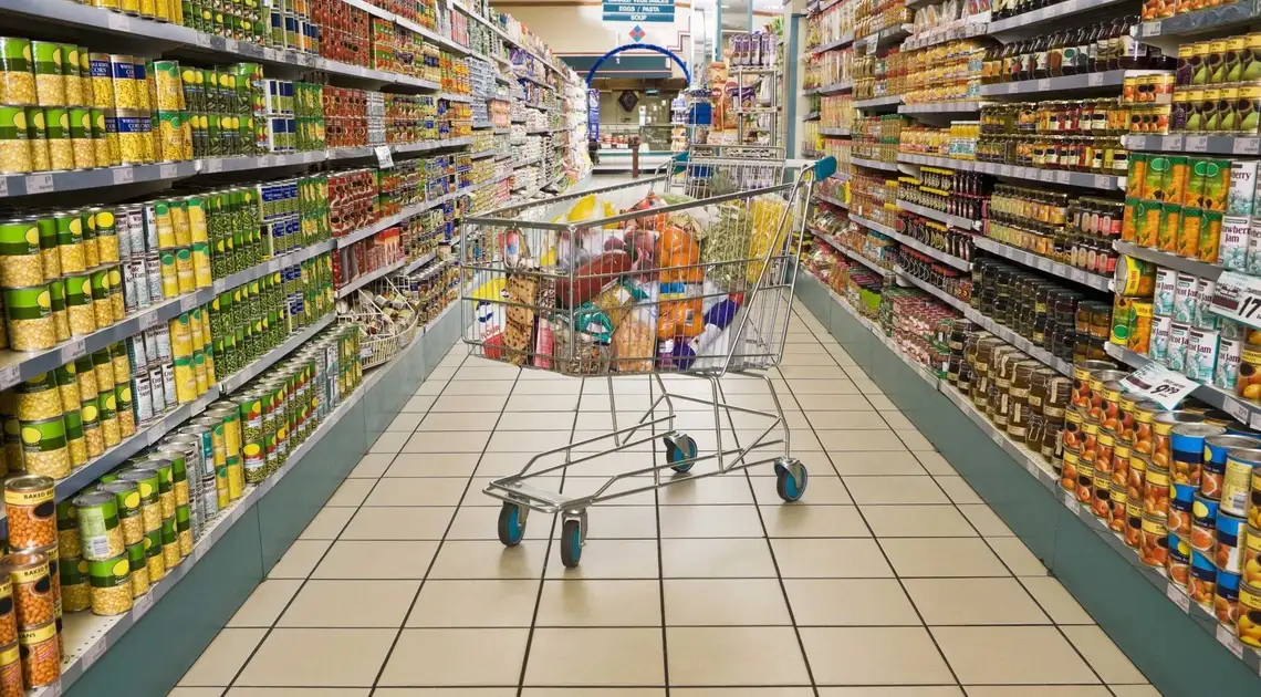 Кропивницький: в яких магазинах вигідніше купувати консерви (ІНФОГРАФІКА) фото 1