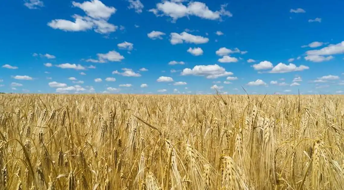 Мораторій на продаж землі в Україні: у Світовому банку сказали, хто його стримує фото 1