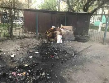 згоріли сміттєві контейнери у Кропивницькому