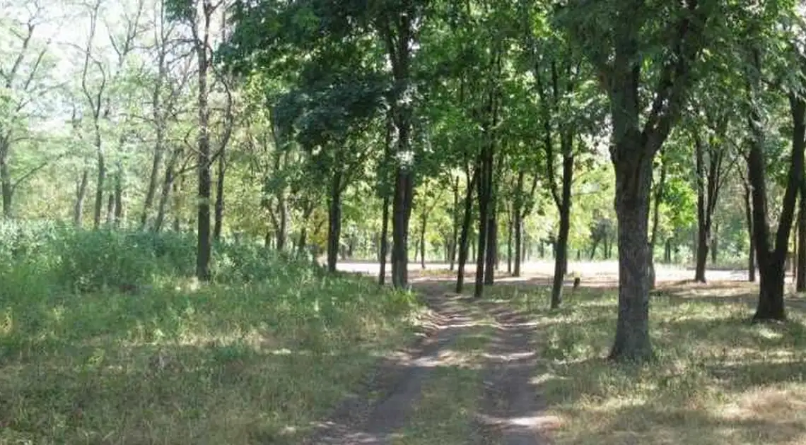 У кропивницькому парку Перемоги можуть з’явитися літні табори та велодоріжки фото 1