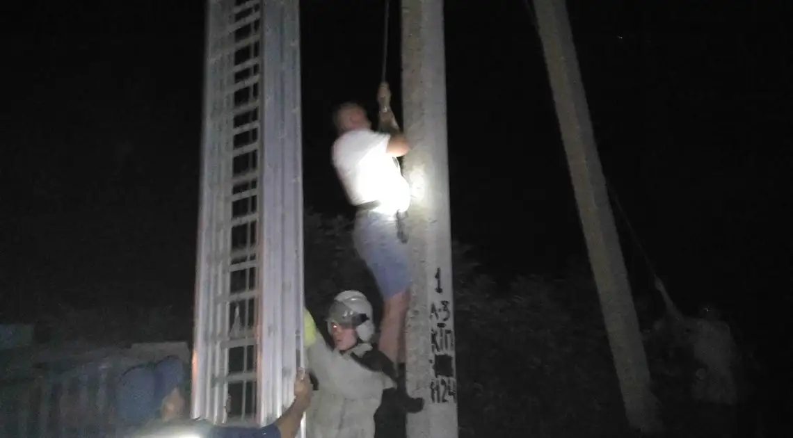 На Кіровоградщині звільнили чоловіка, що на електроопорі завис у проводах (ФОТО) фото 1