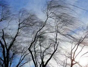Сильні пориви вітру прогнозують у Кропивницькому і Кіровоградській області