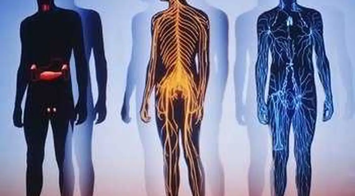 Вчені розповіли, що станеться з людським тілом після смерті (ВІДЕО) фото 1