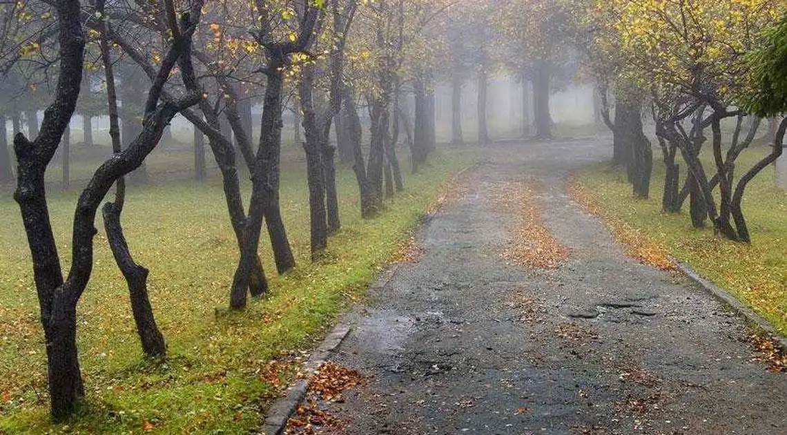 Погода на Кіровоградщині: 13-го листопада (КАРТА) фото 1