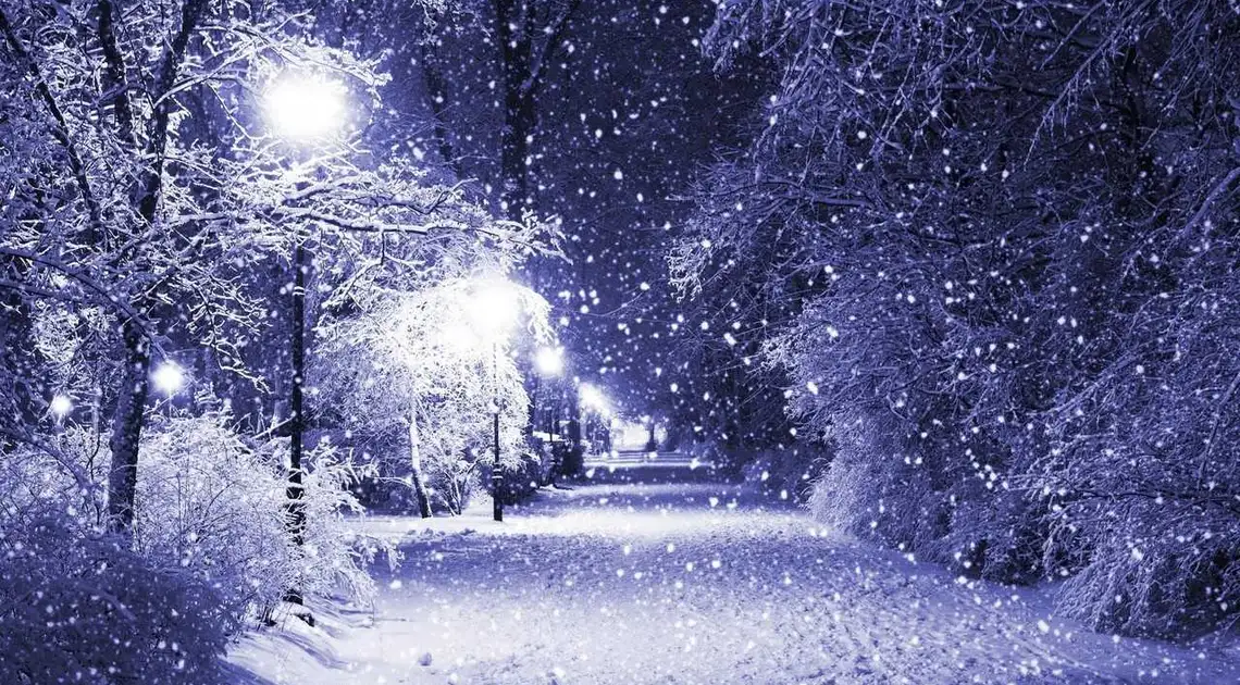 Українцям дали прогноз погоди на всю зиму фото 1