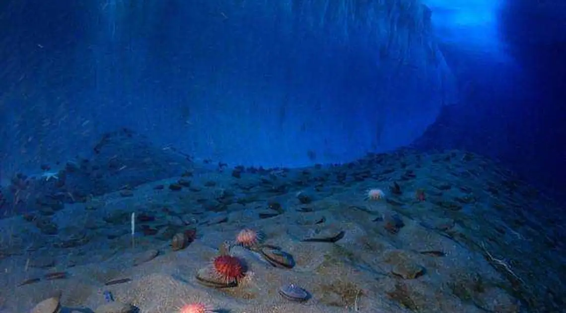 Вчені продемонстрували, як виглядає дно Світового океану без води (ВІДЕО) фото 1