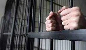 У Кропивницькому декана одного з вишів засудили до 5 pоків позбавлення волі за хабаpництво фото 1