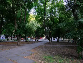 У Центральному сквері Кропивницького планують спиляти 12 дерев фото 1