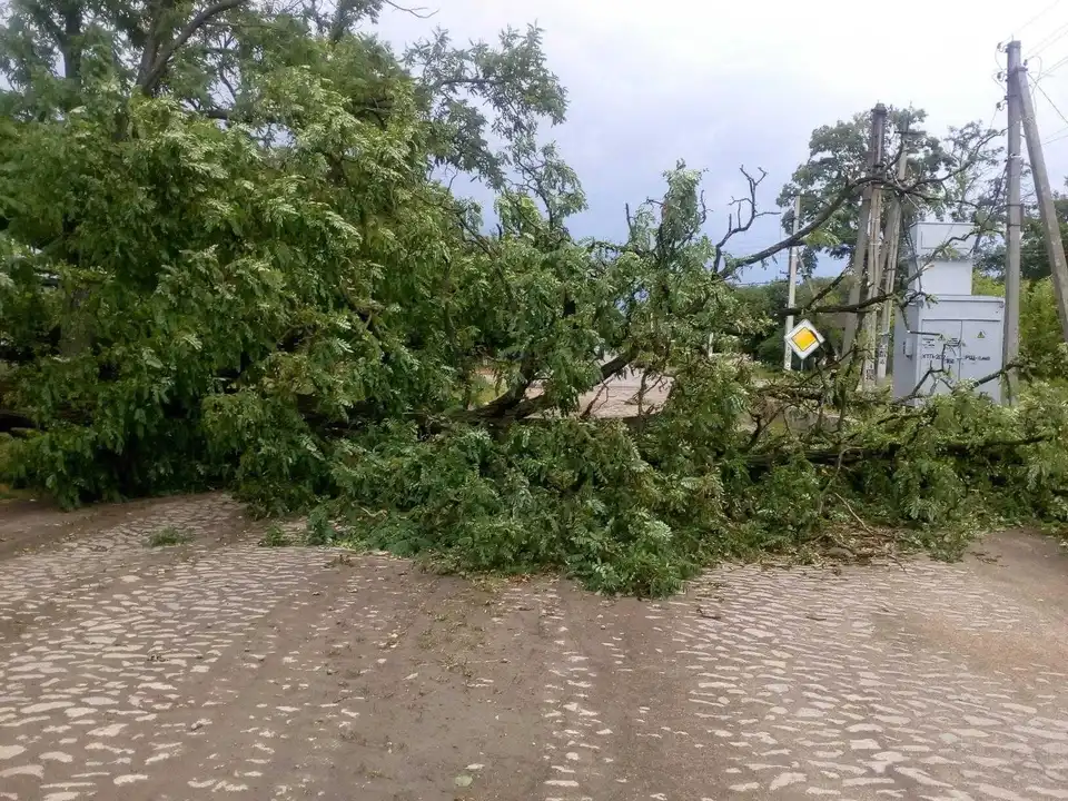 На Кіровоградщині негода залишила без світла 35 населених пунктів