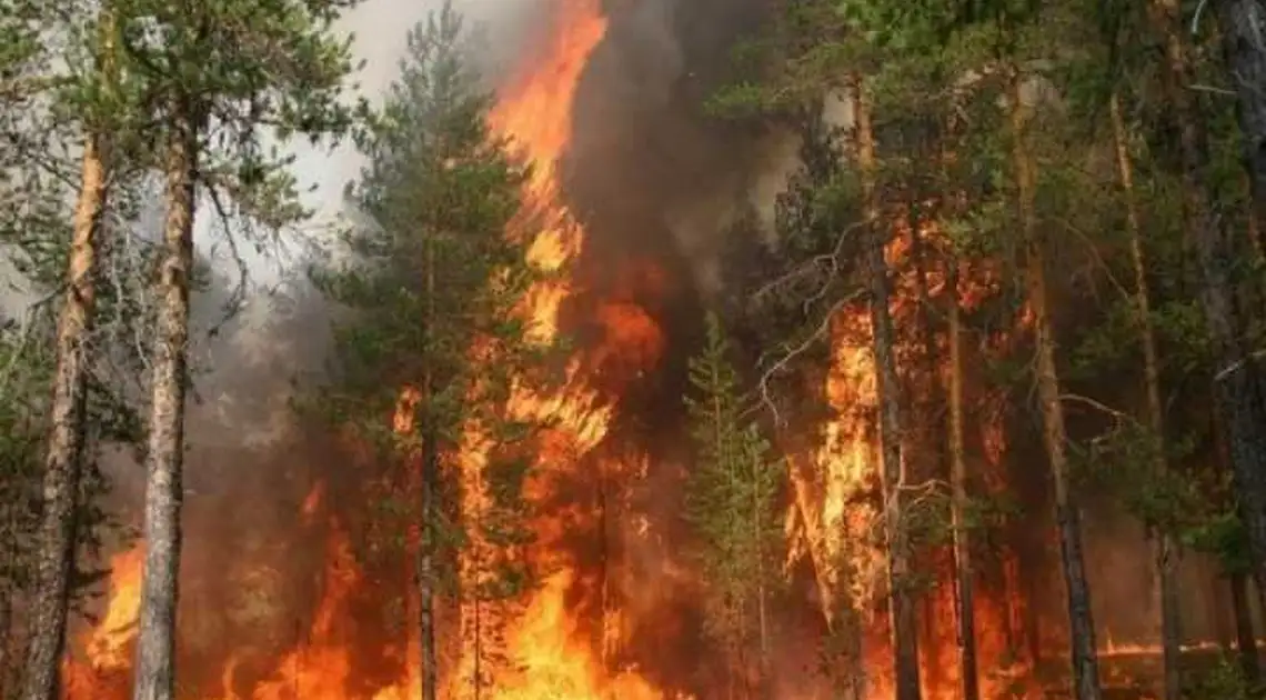 На Кіровоградщині оголосили найвищий рівень пожежної небезпеки фото 1