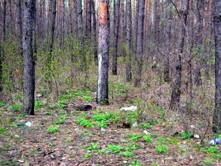 На Лісопарковій у Кіровограді збираються забудувати ще одну ділянку