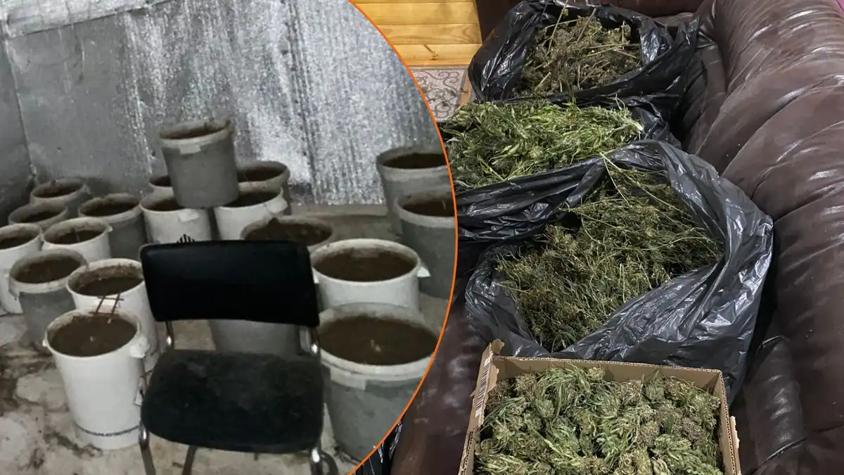 У жителя Кіровоградщини знайшли 7 кілограмів канабісу: йому оголосили підозру