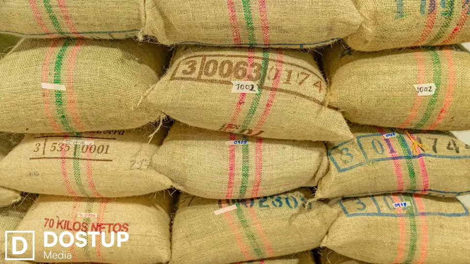 Продавали насіння під виглядом світових брендів: на Кіровоградщині засудили керівника фермерського господарства та спільників