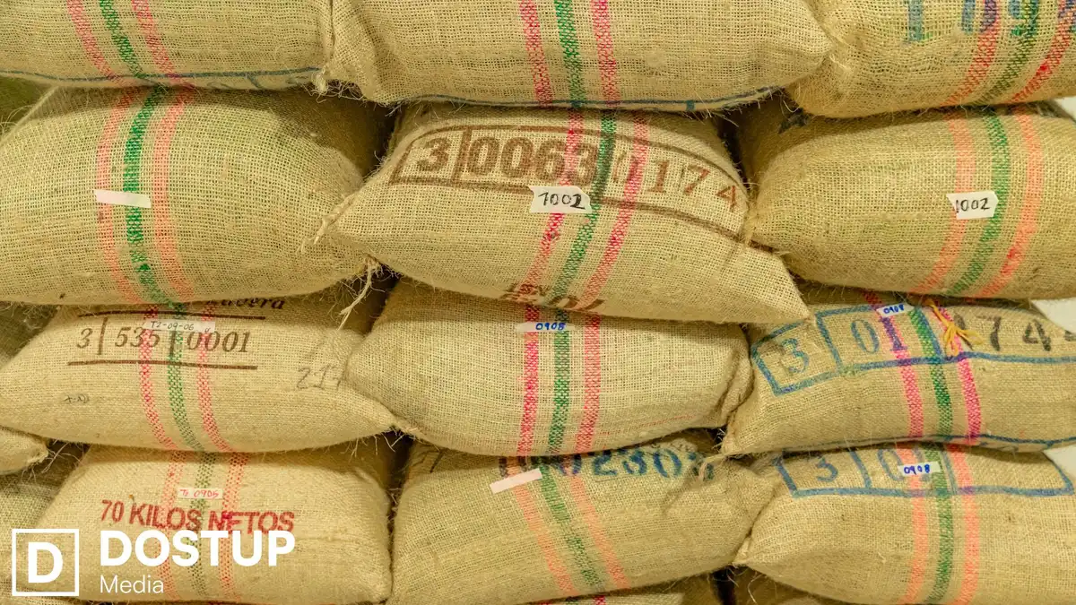 Продавали насіння під виглядом світових брендів: на Кіровоградщині засудили керівника фермерського господарства та спільників