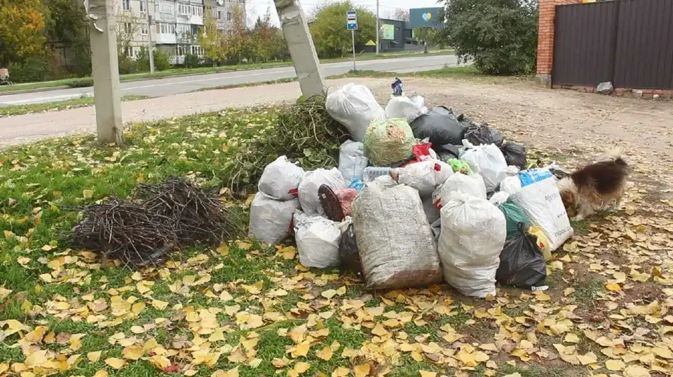 Непотріб у лісосмугах, ярах та річках: жителі Кропивницького масово не сплачують за вивіз сміття (ФОТО) фото 1