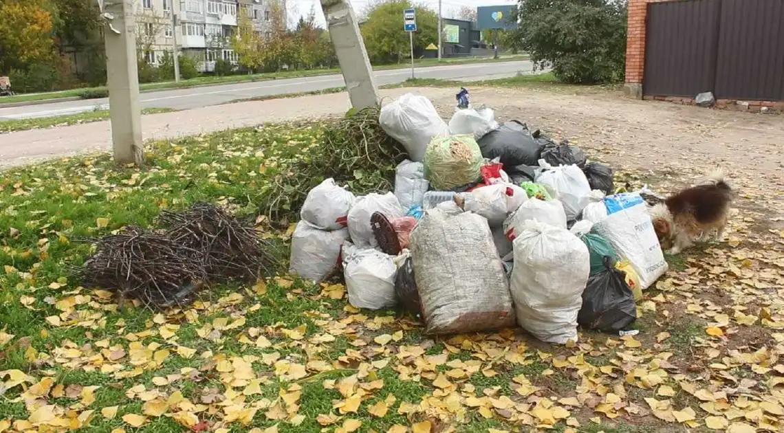 Непотріб у лісосмугах, ярах та річках: жителі Кропивницького масово не сплачують за вивіз сміття (ФОТО) фото 1