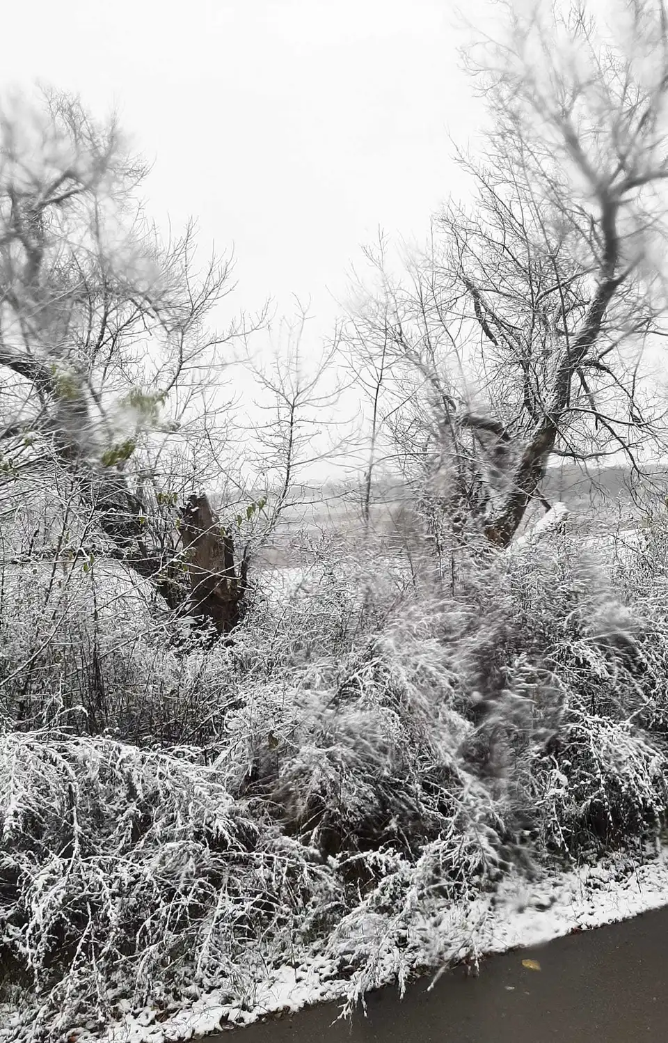 На Кіровоградщині випав перший сніг (ФОТО)