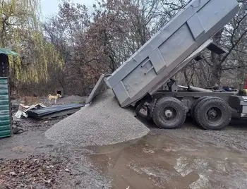 Жителів Кропивницького закликають долучитися до суботника в притулку для бездомних тварин фото 1