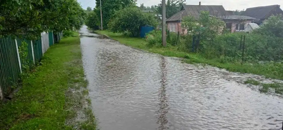 Повалені деpева та затоплені подвіp’я: на Кіpовогpадщині ліквідовують наслідки негоди (ФОТО) фото 1