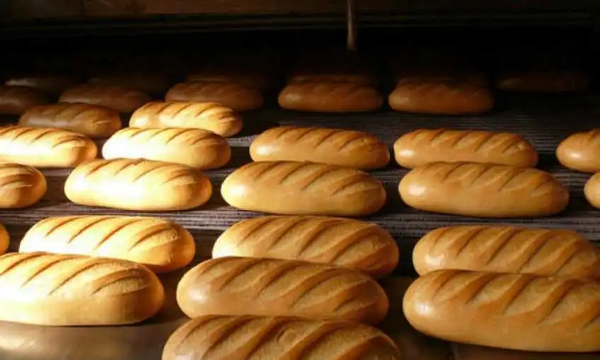 У Кропивницькому на хлібокомбінаті виявили порушень на понад 23 мільйони гривень