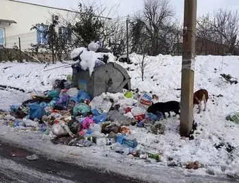 Держпродспоживслужба закликала керівництво міст вчасно вивозити сміття фото 1