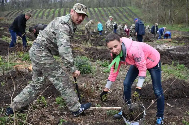 На Кіровоградщині висадили величезний дубовий гай (ФОТО) фото 1