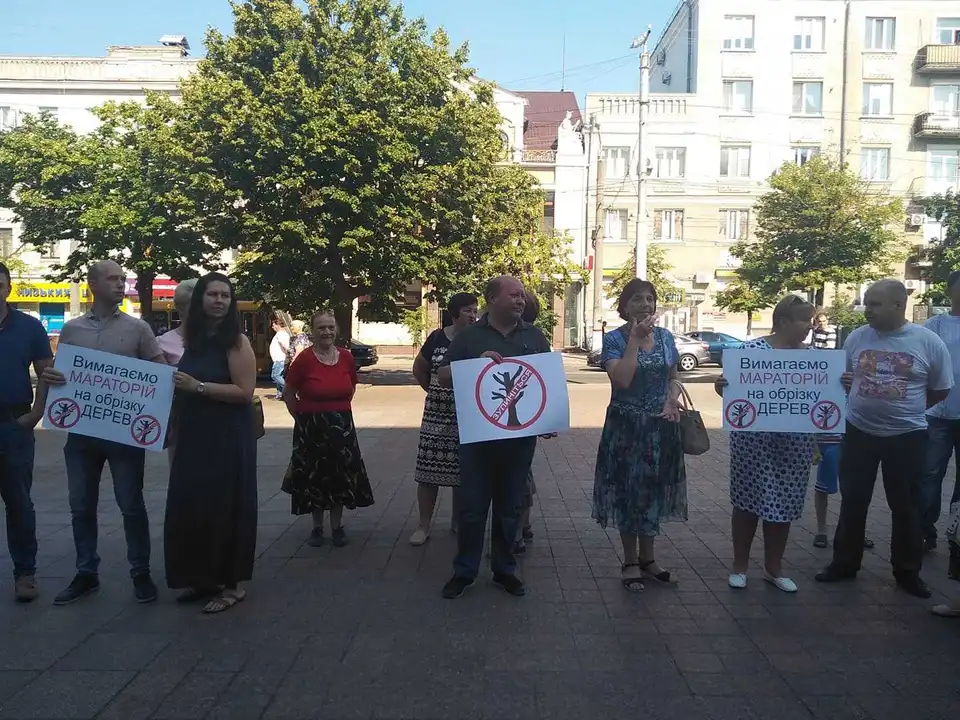 У Кропивницькому до кінця року заборонять омолоджувальну обрізку дерев