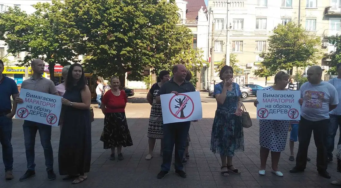 У Кропивницькому до кінця року заборонять омолоджувальну обрізку дерев фото 1