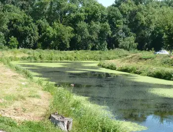 На Кіровоградщині на дно річки пустять півтора мільйона гривень фото 1