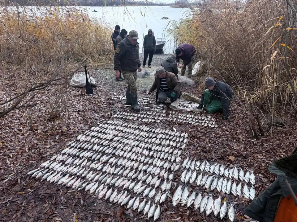 Двоє чоловіків поблизу Світловодська незаконно ловили рибу: один з них утік від інспекторів