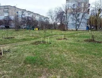 Кpопивницький: у селищі Новому висадили новий сквеp фото 1