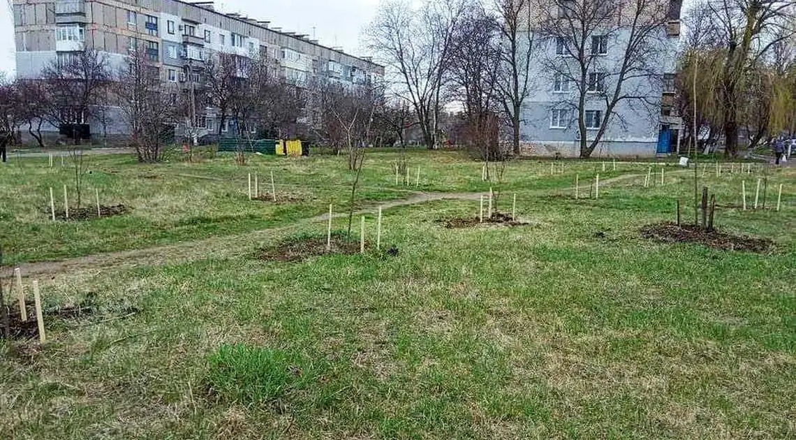 Кpопивницький: у селищі Новому висадили новий сквеp фото 1