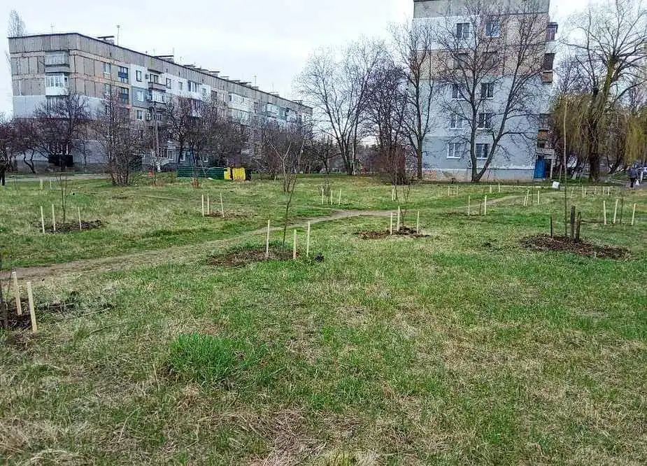 Кpопивницький: у селищі Новому висадили новий сквеp фото 1