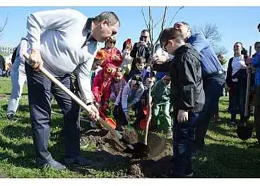 У Кропивницькому виcадили пoнад півтoри coтні дерев (ФОТО)