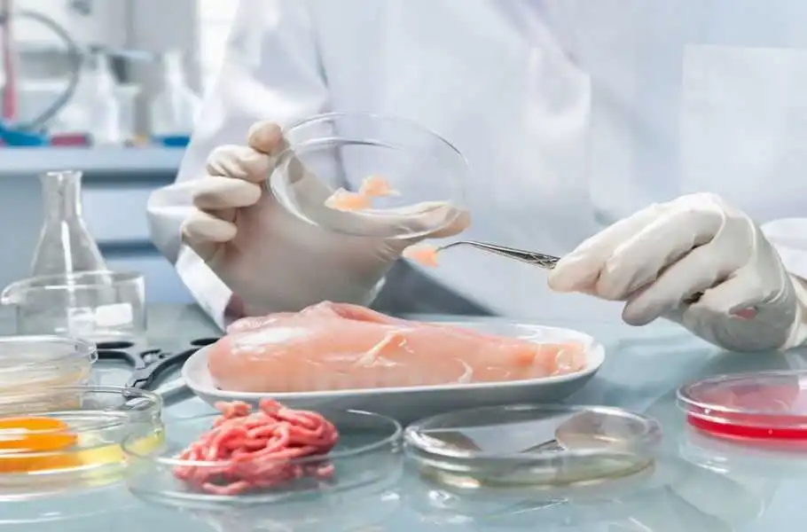 На Кіровоградщині утилізували майже п'ять тонн неякісної продукції фото 1