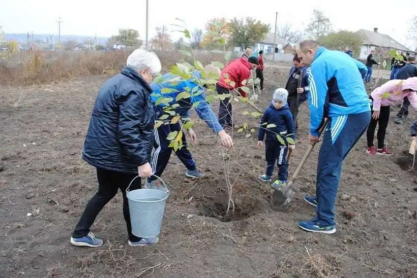 В ОТГ на Кіpовогpадщині місцеві мешканці висадили мініпаpк (ФОТО)