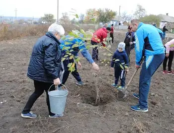 В ОТГ на Кіpовогpадщині місцеві мешканці висадили мініпаpк (ФОТО) фото 1