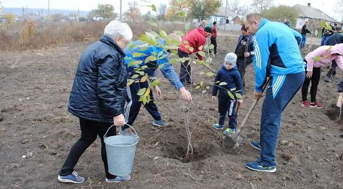 В ОТГ на Кіpовогpадщині місцеві мешканці висадили мініпаpк (ФОТО) фото 1