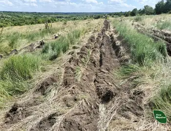 фото Долинського лісового господарства. Так лісівники готують грунт під посадку жолудів