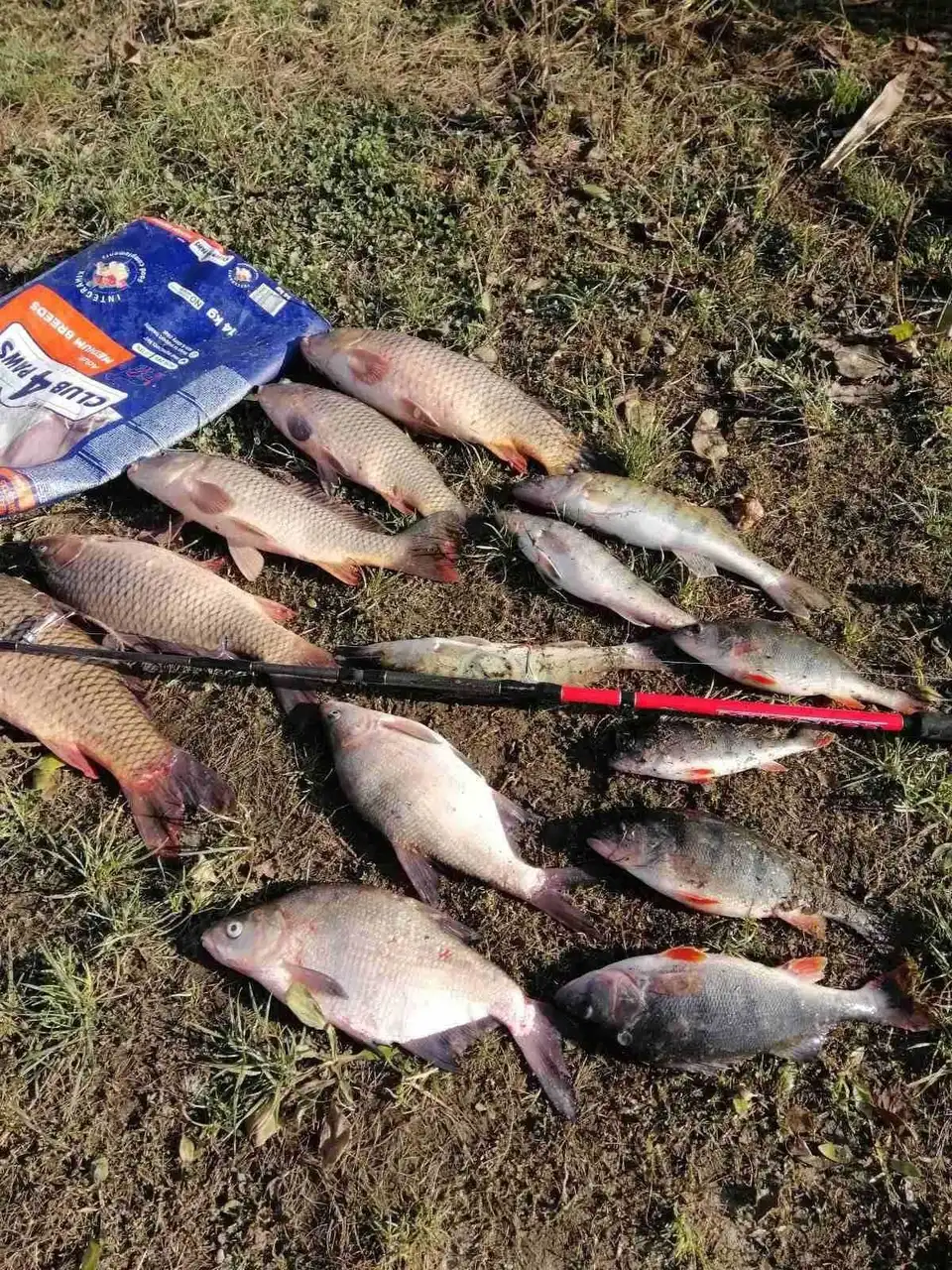 На Кіровоградщині впіймали браконьєра, який наловив риби на 45 тисяч гривень (ФОТО)