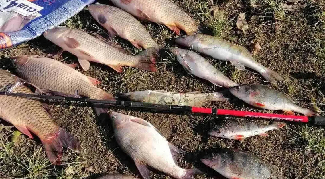 На Кіровоградщині впіймали браконьєра, який наловив риби на 45 тисяч гривень (ФОТО) фото 1
