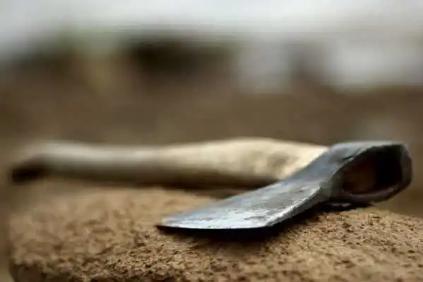 На Кіровоградщині син під час сварки зарубав матір